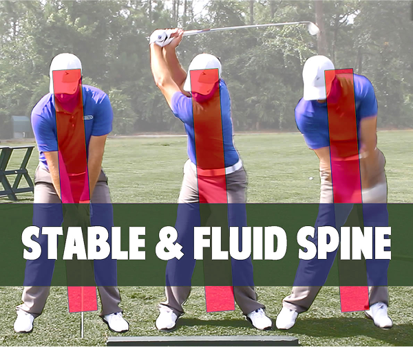 Stable and Fluid Spine
